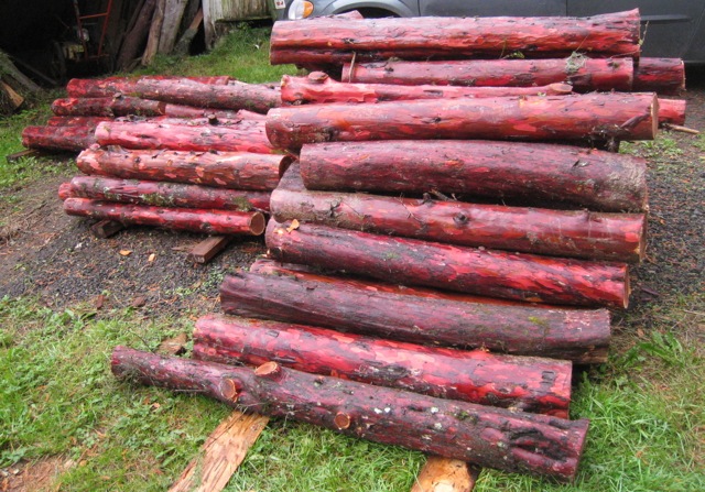 yew log deck side view